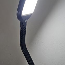 Lamp Light