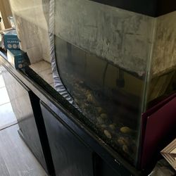 Tanque De Agua Para Peces 