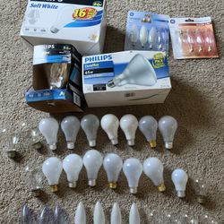 48 Light Bulb Bundle