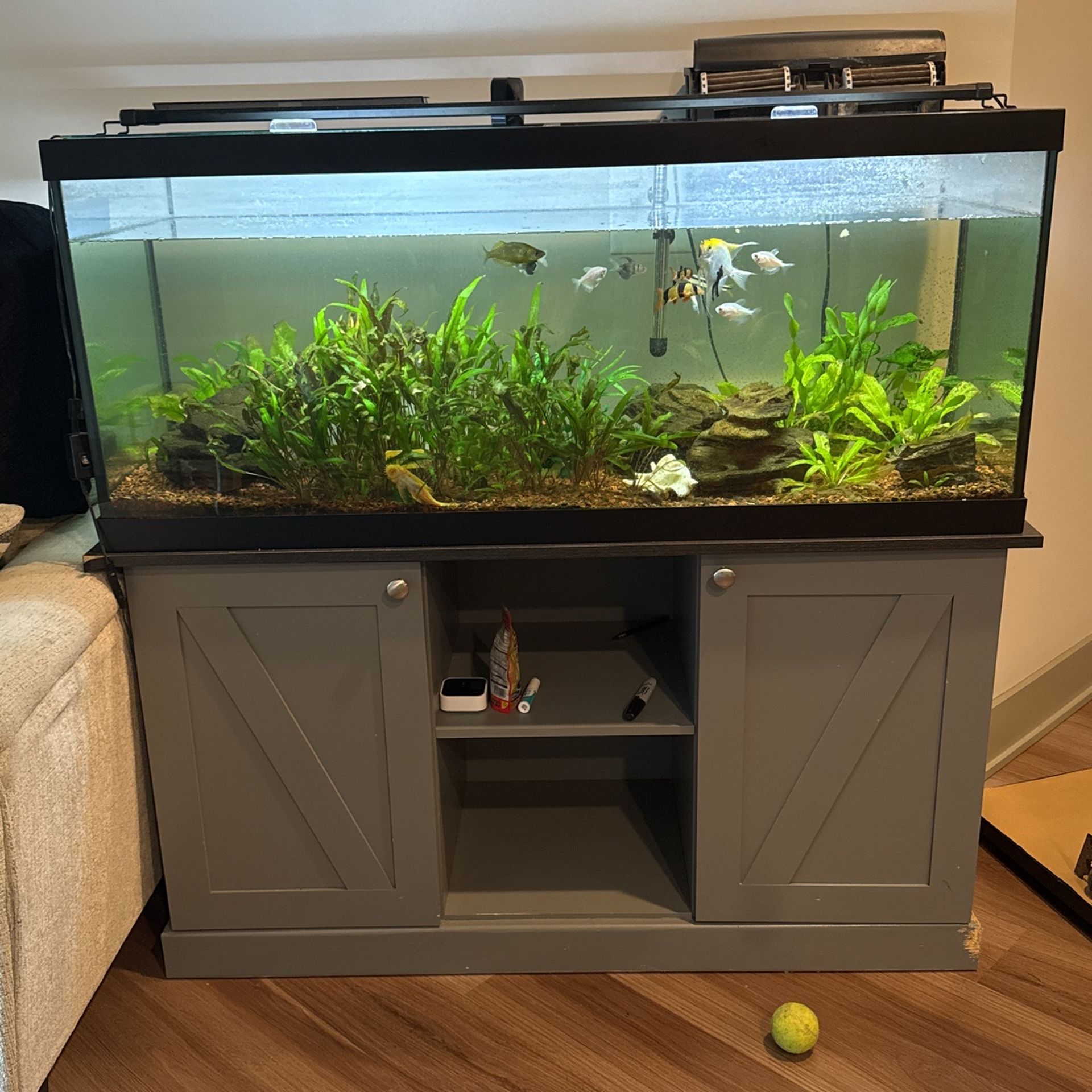 75 Gallon Fish Tank