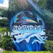 Seaworld Tickets 🎫 ‼️