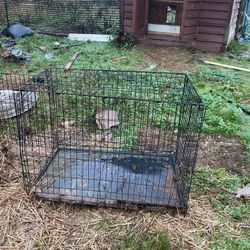 Big Cage For Pets Black Friday Sale!!!