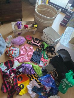 Huge lot of dog custom outfits clothes, travel carrier, harnesses, wood food stand, toys and baskets!! 34pcs total