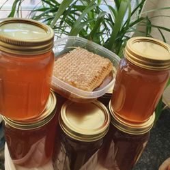 Raw Local Honey 🍯 