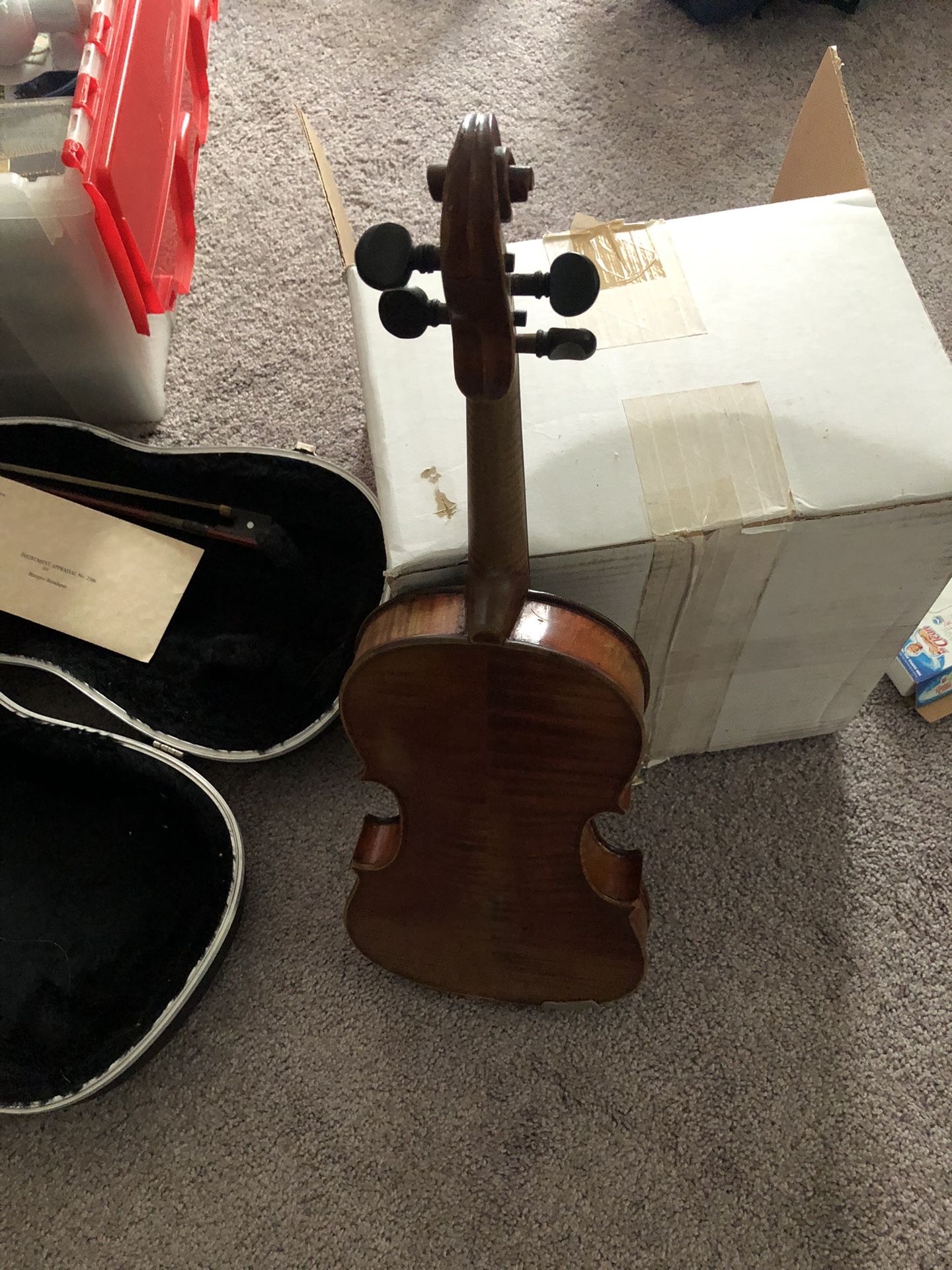 Violin