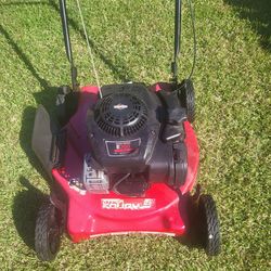 Briggs and Stratton  mower