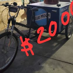 Electric Bike For Vendors