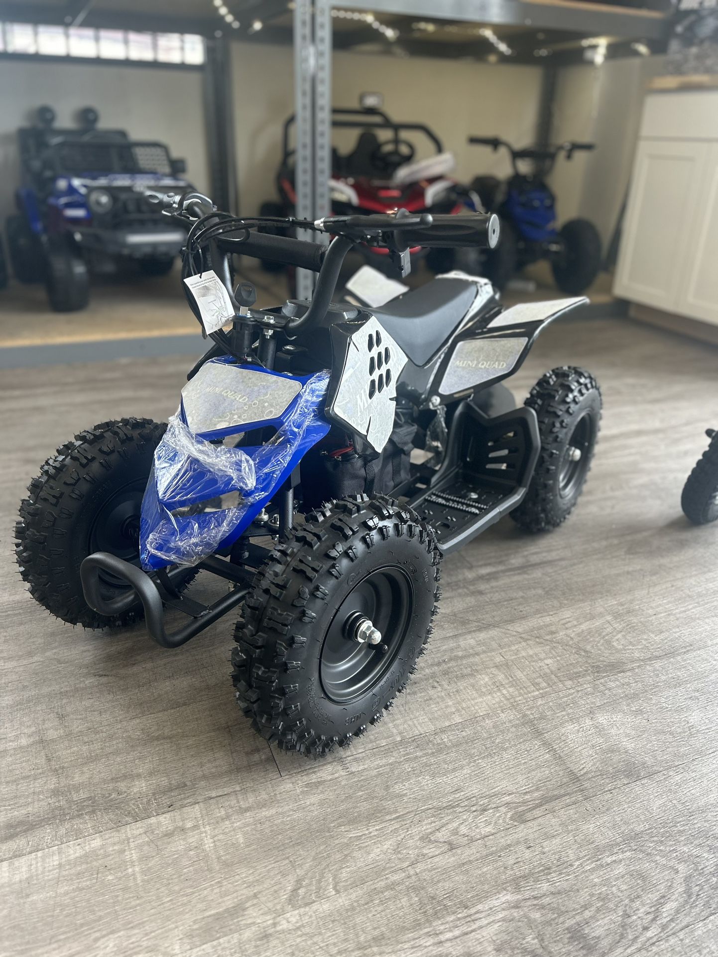 Electric Mini 4X4 Quad For Kids