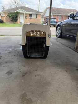 Dog Crate