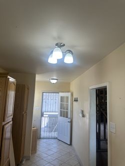 Ceiling Lights