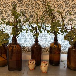 Early 1900's USA Brown Glass Bottles (5)