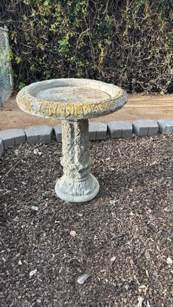 Bird Bath