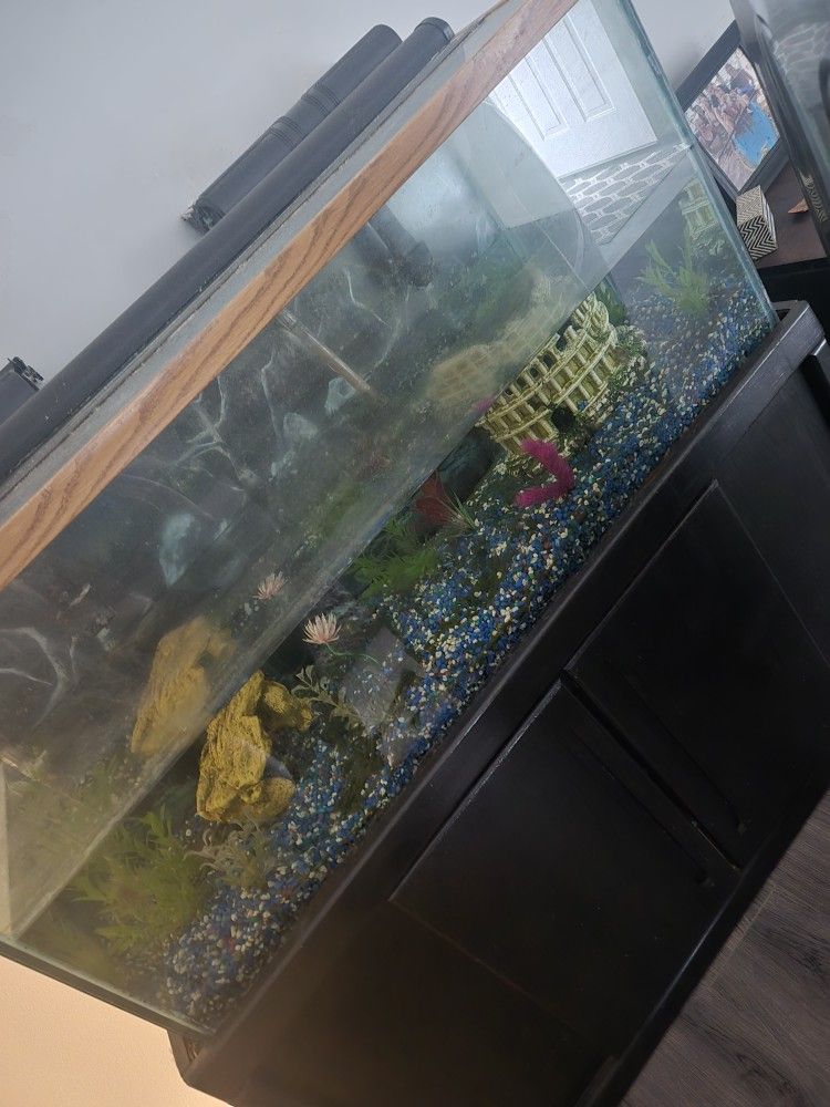 90 Gallon Fish Tank And Accessories