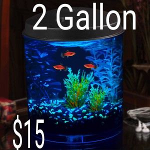 2 gallon aquarium