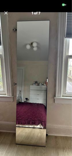 IKEA IPAX mirror door  19’X 93”
