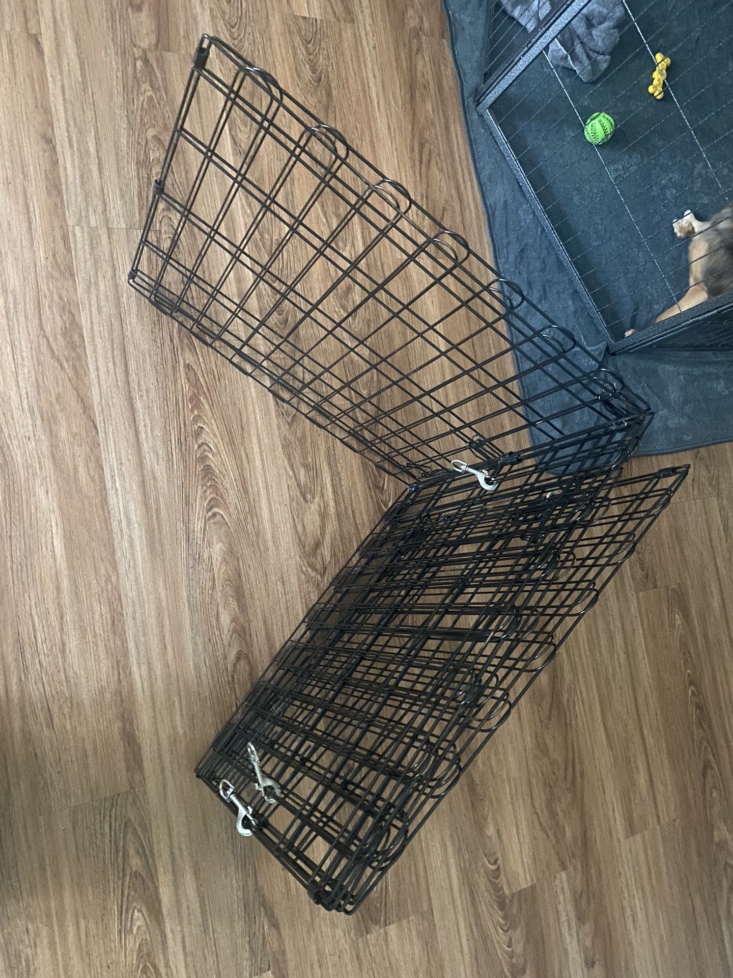Small dog Or Animal Starter Cage