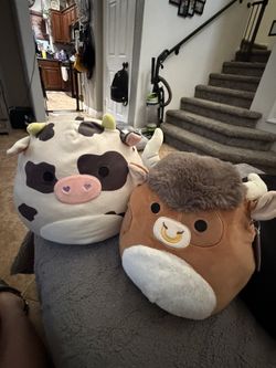 2 Medium Squishmallow For Sale