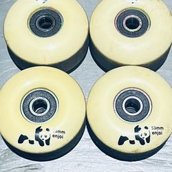 Enjoi 53mm/99a & Pig Prime Skateboard Bearings.