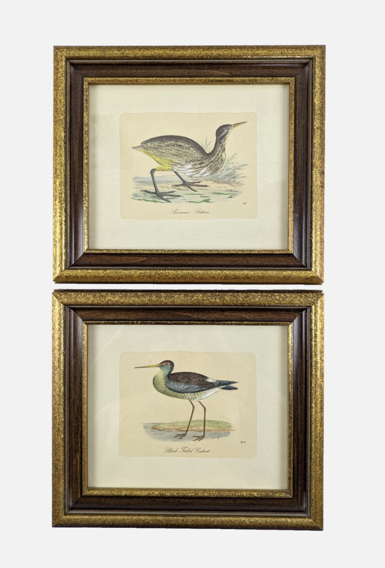 W. King Ambler "Game Birds" Series 2 Framed Hand-Colored Restrike Prints 11"×10"