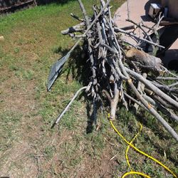 Pomegranate Wood Free