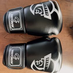 Pretorian Boxing Gloves