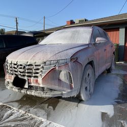 Auto, Carpet, Upholstery 