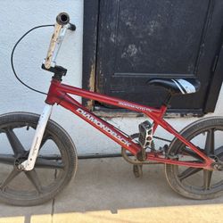 DiamondBack Pump Bike