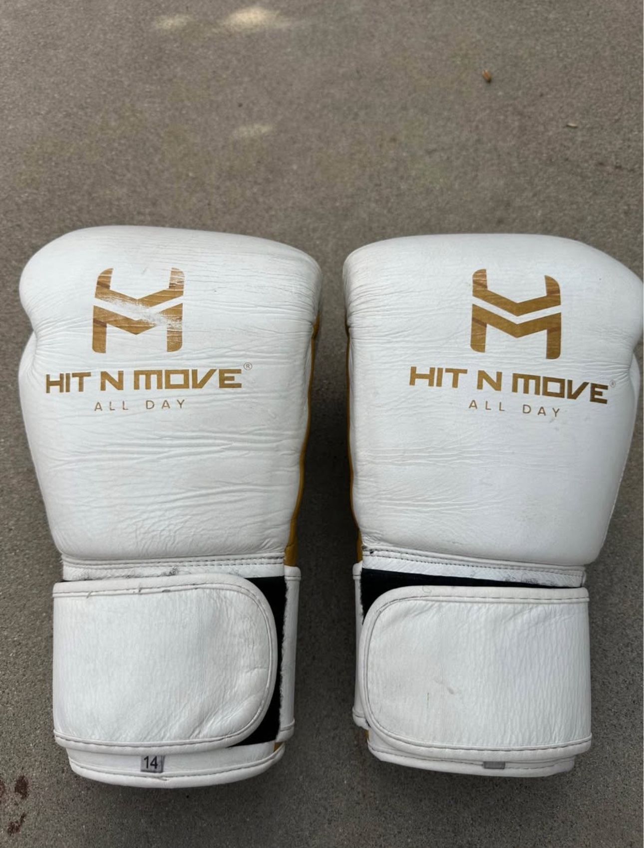 Hit n Move All Day 14oz Boxing Gloves