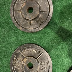 Home Gym Plates 