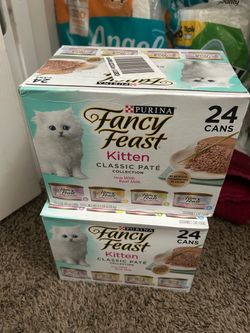 Kitten Food