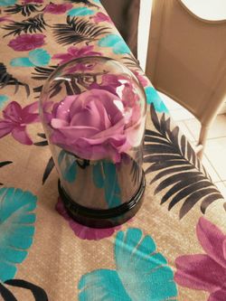 Forever Rose Light Up 