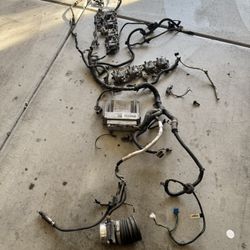 LS1 T56 Wiring Harness