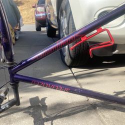 Specialized Frame