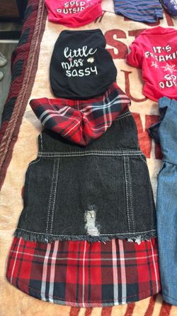 Dog clothes and Halloween costumes