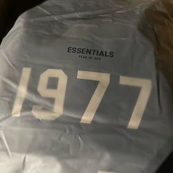 Essentials hoodie