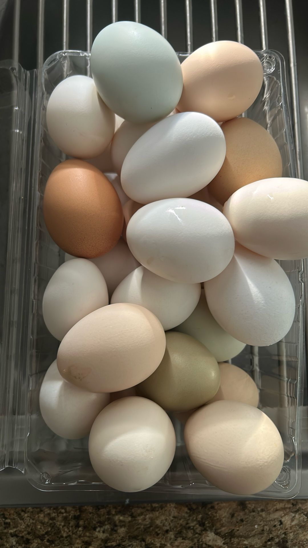 Fresh Farm Eggs