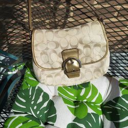 Beautiful Coach Handbag 