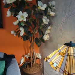 Mango’s Artificial Plant 
