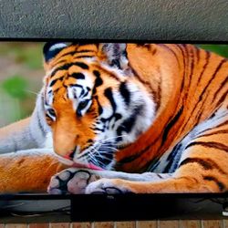 55"  4K Smart TV with wall mount