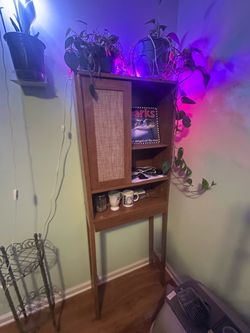 Mid-Century Wood Cabinet with Cane Door