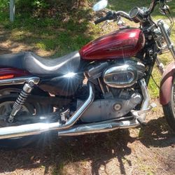 2009 Harley Davidson 883