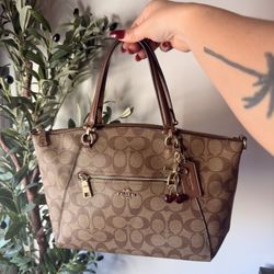 Coach Signature Tote / Satchel