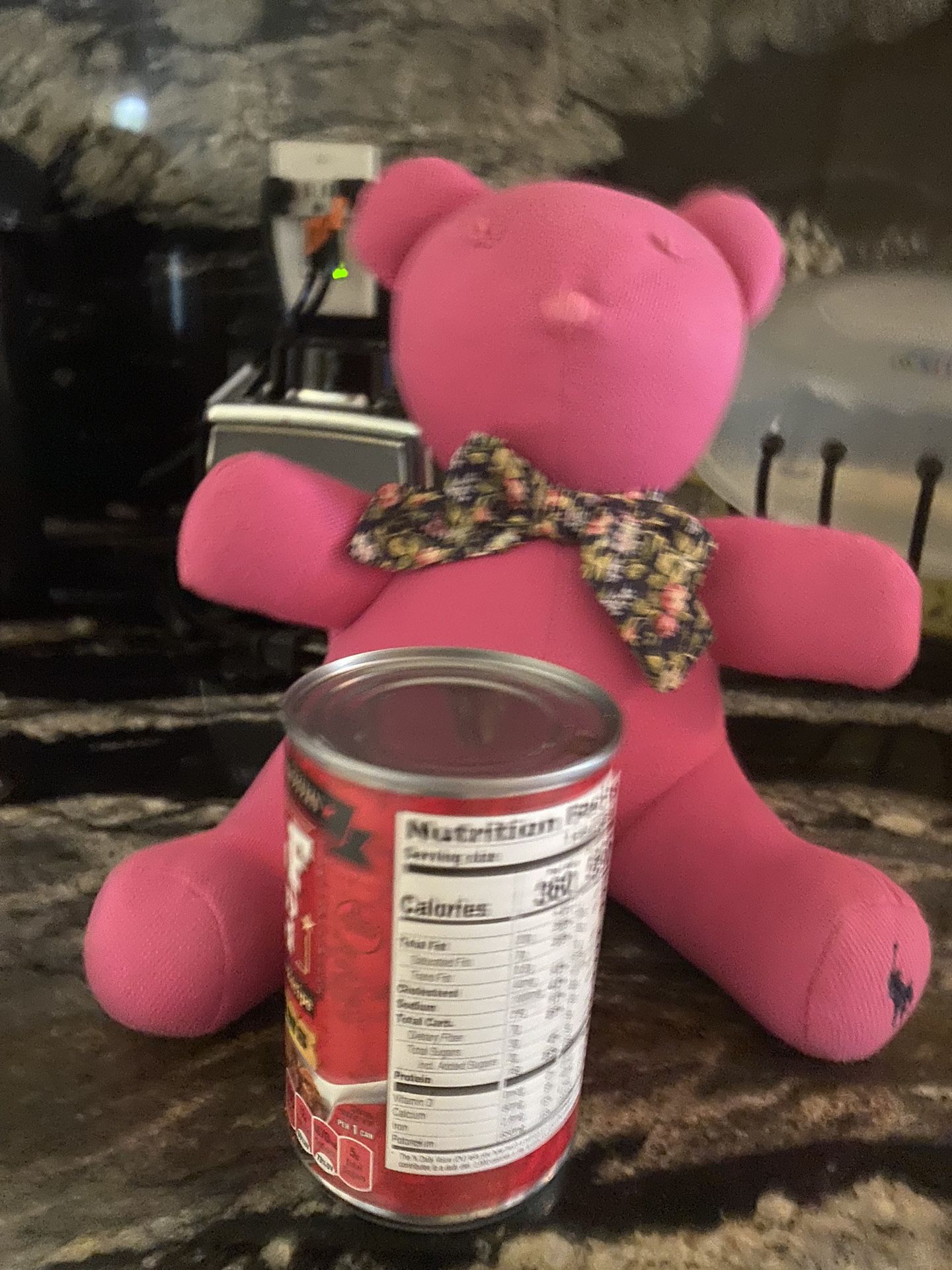 Ralph Lauren Pink Teddy Bear 