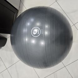 Babygo Pregnancy Ball