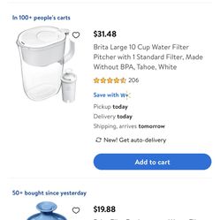 Brita Pitcher 10 Cup