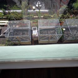 Custom Built Vegetable Beds With Critter Protection
