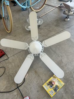 Fan