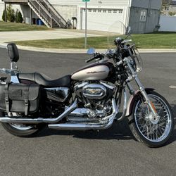 2007 Harley Davidson 1200 Custom Mint