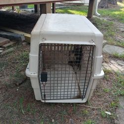 Dog house