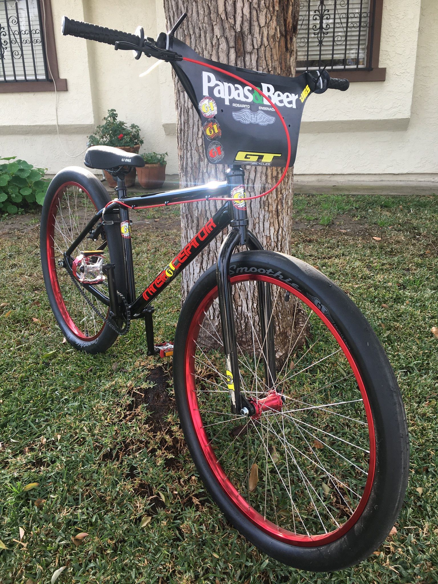 29” GT CUSTOM BMX CRUISER !! 1/1 Built